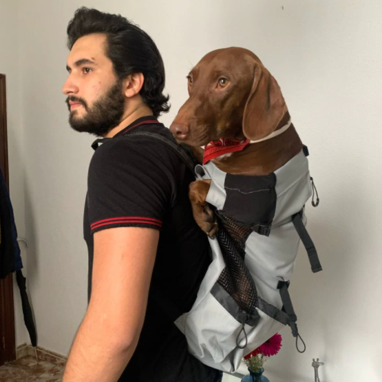 Petraze™ Hiking Dog Carrier