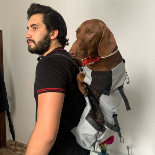 Petraze™ Hiking Dog Carrier