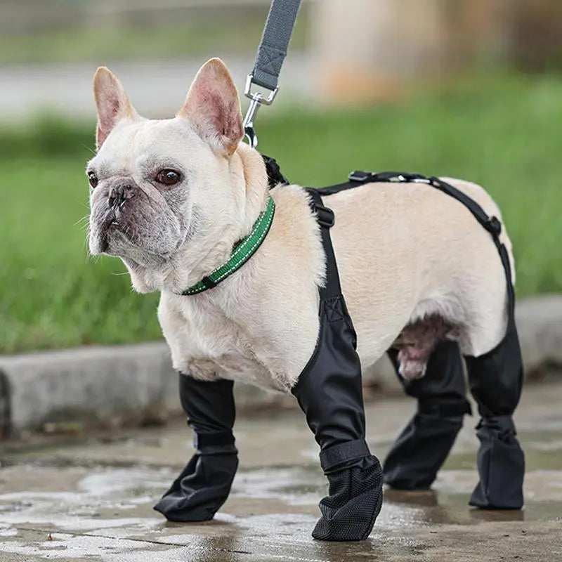 PetRaze™ Suspender Dogs Boots